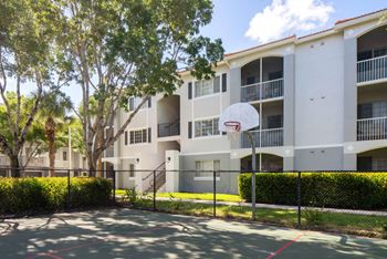 Basketball court