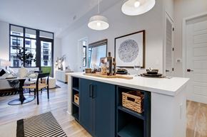 Plantation apartment for rent - kitchen sink with navy blue cabinetry with built-in shelves