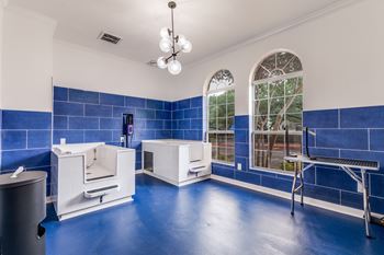 Pet-friendly spaces & dog spa