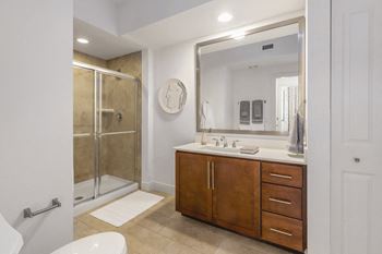 Walk-in, glass-door showers