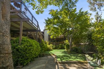 Lush property courtyard and relaxing green area
