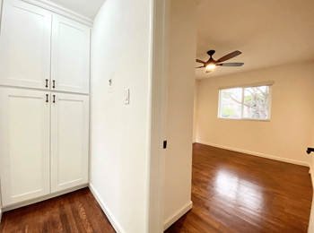Ceiling fan