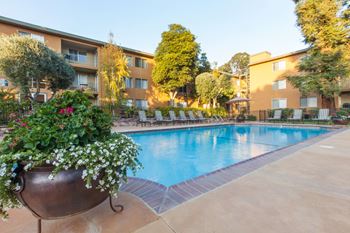Shimmering swimming pool