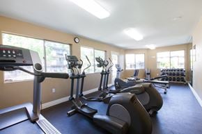 Fremont apartment for rent - State Of The Art Fitness Center at Carrington Apartments, Fremont