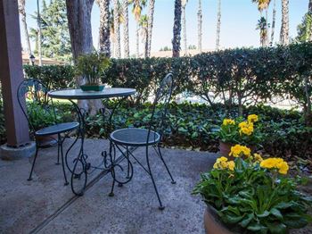 Beautiful patio