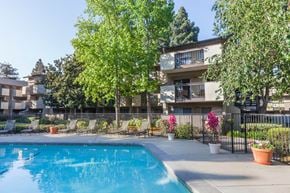 Fremont apartment for rent - Swimming Pool With Relaxing Sundecks at Carrington Apartments, Fremont