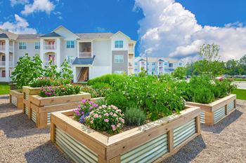 Apartment complex garden