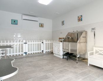 Pet care center
