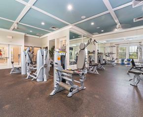 Jacksonville apartment for rent - a gym with weights and cardio at Terraces at Town Center, Jacksonville, 32256