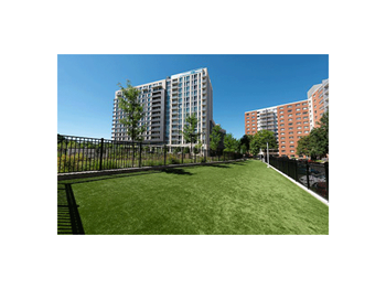 Dog park access