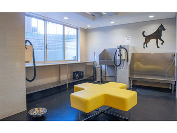 Pet wash