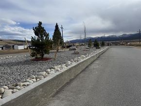 Leadville apartment for rent - A road with a gravel area on the side and a few trees.