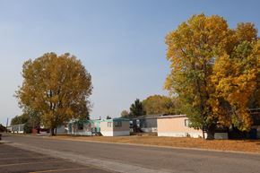 Cheyenne apartment for rent - Street view with trees at West Winds, Cheyenne, Wyoming