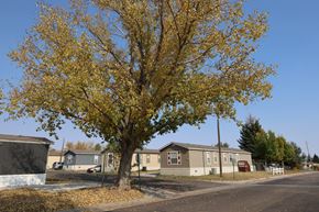 Cheyenne apartment for rent - Palm Trees Along Road Side at West Winds, Cheyenne, WY, Wyoming, 82007