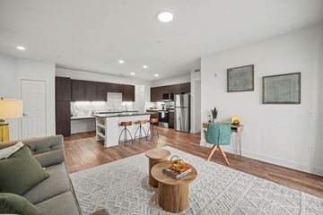 Wheat Ridge apartment for rent - A modern living room with a grey rug and a green couch.