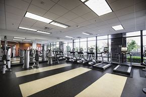 Seattle apartment for rent - A gym with treadmills, weights, and exercise equipment.