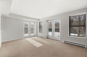 Cambridge apartment for rent - A room with a carpeted floor and a window showing a tree outside.