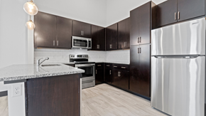 Norfolk apartment for rent - a kitchen with stainless steel appliances and dark wood cabinets