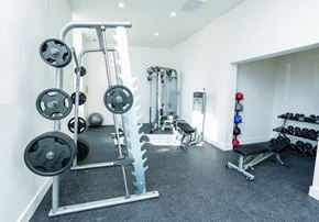 Portsmouth apartment for rent - A well-equipped gym with a variety of weightlifting equipment.