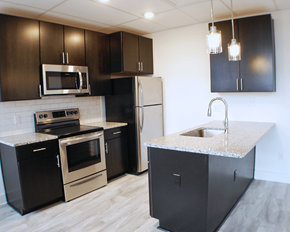 Richmond apartment for rent - A kitchen with black cabinets and stainless steel appliances.