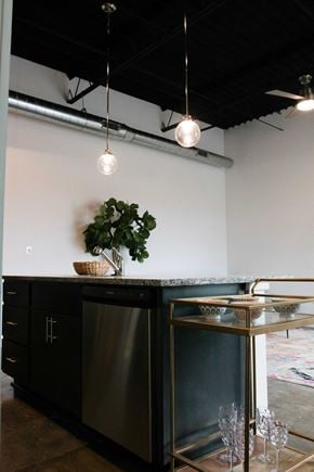 Norfolk apartment for rent - A black and white kitchen with a stainless steel dishwasher and a plant on the counter.