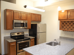 Suffolk apartment for rent - A kitchen with a stove, refrigerator, and microwave.