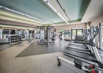 A gym with treadmills, elliptical machines, and other cardio equipment.