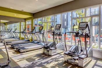 Gym 1