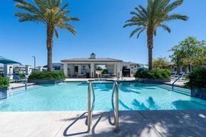 Surprise apartment for rent - Pool area with entry stairs and palm trees at Vistoria On Mountain View Apartments, Arizona