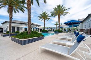 Goodyear apartment for rent - A poolside area with sun loungers and palm trees.