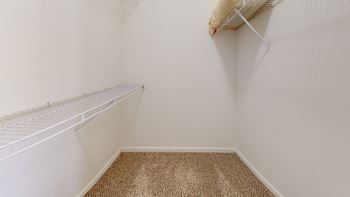 A room with a closet and a shelf on the wall and a carpet