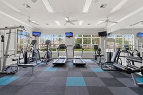 Chattanooga apartment for rent - a large fitness room with treadmills and other exercise equipment at The Haven at Commons Park Apartment , Chattanooga, TN