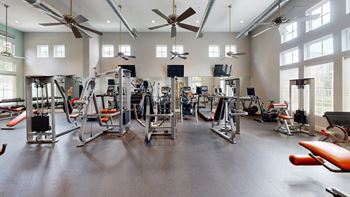Gym area