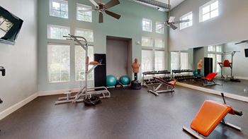 Gym fitness
