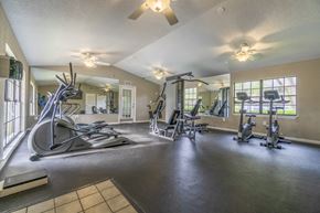 Tampa apartment for rent - Fitness Center area at Laurel Oaks Apartments, Tampa, FL