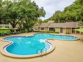 Tampa apartment for rent - Swimming Pool at Laurel Oaks Apartments, Florida, 33637