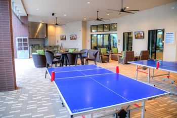 Ping pong table