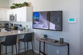 Peoria apartment for rent - TV on a wall