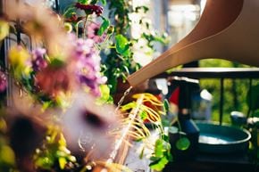 Rochelle apartment for rent - a person watering a plant in a flower garden