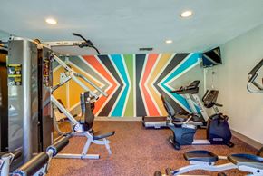 Houston apartment for rent - Fitness Center at The Reserve at City Center North, Texas, 77043