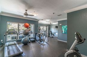 St. Petersburg apartment for rent - Fitness Center
