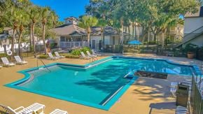 Winter Garden apartment for rent - A large swimming pool surrounded by lounge chairs and palm trees.