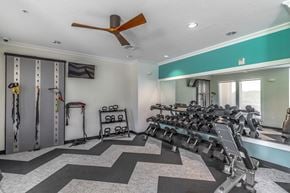 Lady Lake apartment for rent - A gym with a row of treadmills and weights.