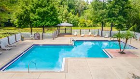 Tampa apartment for rent - a swimming pool with chairs around it and trees in the background