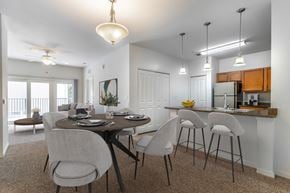 St. Petersburg apartment for rent - Kitchen and Dining