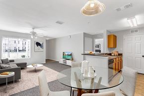 Palm Bay apartment for rent - Open Living Area