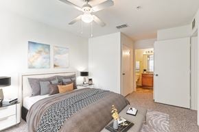 New Smyrna Beach apartment for rent - Large Bedrooms with Closet Space