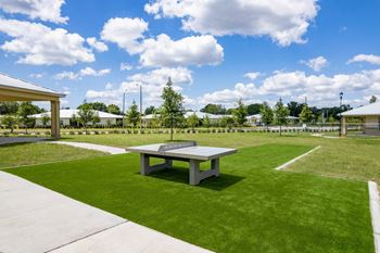 Outdoor ping pong table