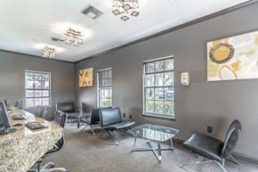 Brandon apartment for rent - clubhouse area with couches