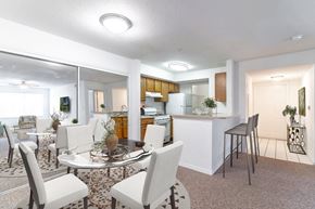 Brandon apartment for rent - a living room with a table and chairs and a kitchen in the background